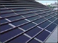 Residential Solar Panel